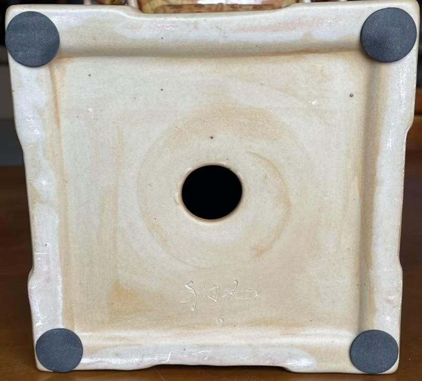 93cc235e7790d1da3dadd673210e844c